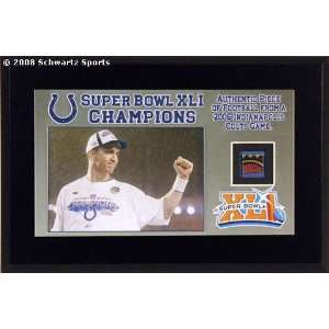  Indianapolis Colts Super Bowl XLI Champs Desktop Display 