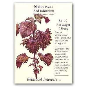  Shiso Perilla Red aka Akashiso Seeds Patio, Lawn & Garden