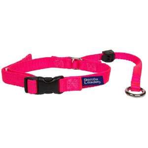   : Gentle Leader Headcollar, X Large, Hot Pink with DVD: Pet Supplies