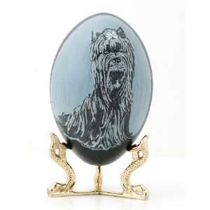  Hand Carved Emu Egg Shih Tzu: Everything Else