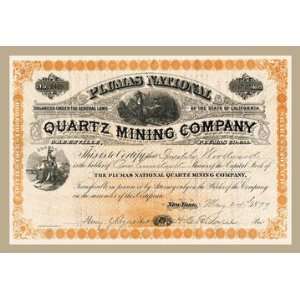    Plumas National Quartz Mining Company 20x30 poster