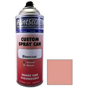  12.5 Oz. Spray Can of Cay Coral Metallic Touch Up Paint 
