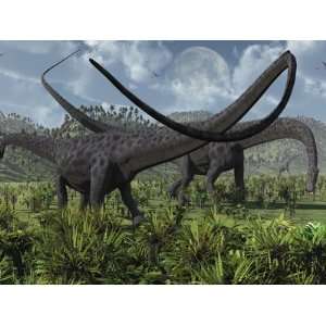  Two Giant Diplodocus Herbivore Dinosaurs Grazing During 