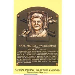 Carl Yastrzemski National Baseball Hall of Fame Postcard  