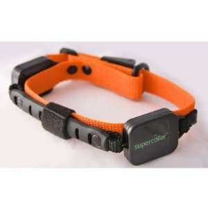  Supercollar Dog Collar with Built in Leash