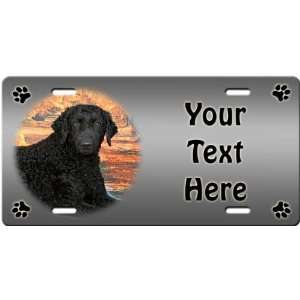  Curly Coated Retriever Personalized License Plate: Sports 