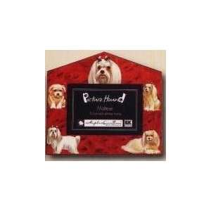    Maltese Dog House Frame 4x6 or 3x5 Pictures: Home & Kitchen