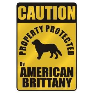   PROTECTED BY AMERICAN BRITTANY  PARKING SIGN DOG: Home Improvement