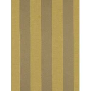    Refined Stripe Thyme by Robert Allen Fabric Arts, Crafts & Sewing