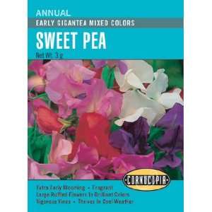   : Sweet Pea Seeds   Early Gigantea Mixed Colors: Patio, Lawn & Garden