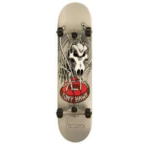   Platinum Series Falcon Complete Skate Board: Sports & Outdoors