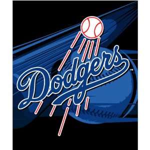 Los Angeles Dodgers Royal Plush Raschel MLB Blanket (Big Stick Series 