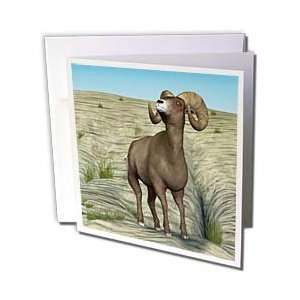  Boehm Graphics Animal   Bighorn Sheep   Greeting Cards 12 