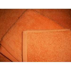   Hand Towel & Wash Cloth Set in Orange (Karly Peach): Everything Else
