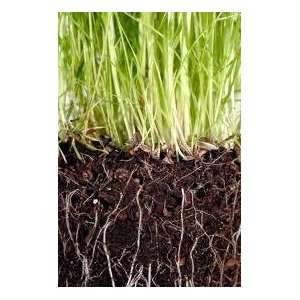  50# Seeding Mulch  Hydroseeding, Hand Seeding, Grass Seed 