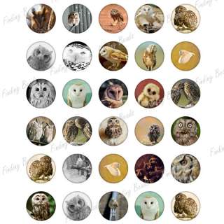 30 digital collage sheet owl animal vintage fit cabochon setting 
