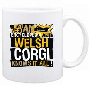  New   My Welsh Corgi Knows It All !!!  Mug Dog: Home 