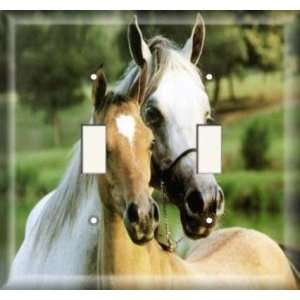  Double Switch Plate   Horses In Love: Home Improvement