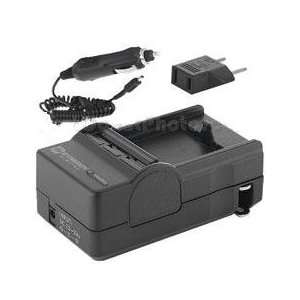   DBL 40 Battery   110/220v with Car Adapter and European plug Adapter