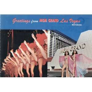  Post Card: GREETINGS FROM MGM GRAND LAS VEGAS NEVADA, F 