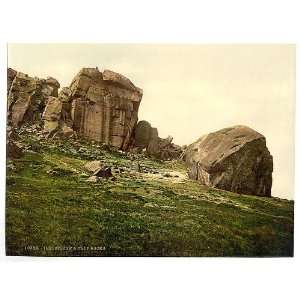  Cow,Calf Rocks,Ilkley,England,c1895