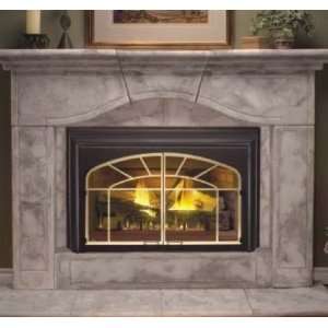   GDI 44N 32 in. Basic Direct Vent Fireplace Inser