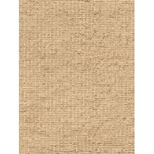  Wallpaper Steves Color Collection   Brown BC1582065