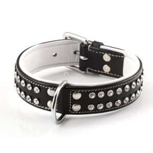 Ivy League Canine Collection Luxury Leather Dog Collar with Swarovski 
