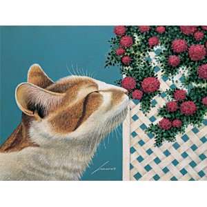  Lang Boxed Note Cards   Ferdinand by Lowell Herrero 