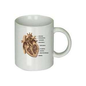  Diagram of Heart Mug 