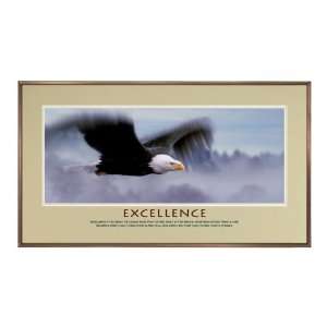  Successories Excellence Eagle Framed Motivational Poster 