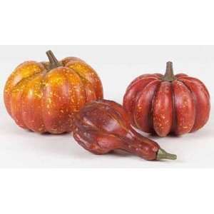   Harvest Thanksgiving Orange & Red Pumpkins and Gourds: Home & Kitchen