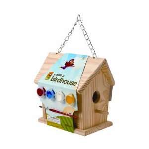  Paint A Bird House Wooden 
