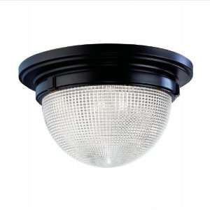  Winfield 17.75 Flush Ceiling Light: Home Improvement