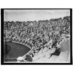 Audience assembling in stadium,Harvard University class day exercises 