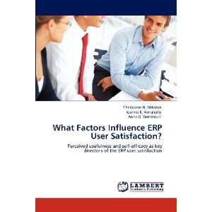  What Factors Influence ERP User Satisfaction? Perceived usefulness 