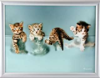 RACHAEL HALE Kittens CUSHIONED BEANBAG LAPTRAY Lap Tray  