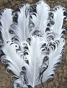 NAGORIE WHITE ON BLACK CURLY GOOSE FEATHER PAD PRETTY  