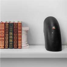   Control Now Bookshelf/Wall Mount Outdoor Speaker (White): Electronics