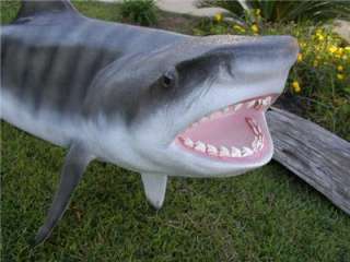 Big Tiger Shark fish Replica MOUNT  Rows of Real teeth 94 inches 