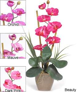 Single stem Phalaenopsis Silk Orchid Plant  