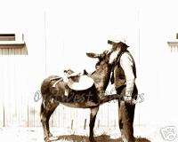 1900S GOLD PROSPECTOR MINER PETER VOISS WITH HIS DONKEY BURRO MINE 