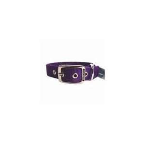  Double Thick Nylon Dog Collar Hot Purple 1 X 18 Pet 