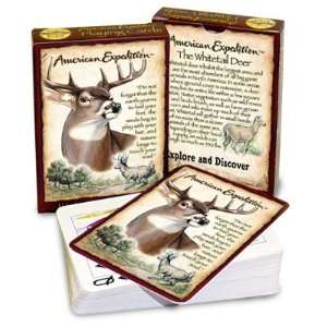  Whitetail Deer Wildlife Animal Cabin Lodge Hunting 