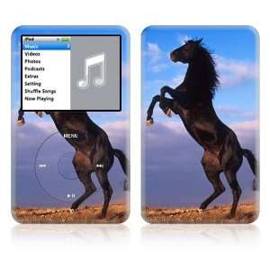   Decal Vinyl Sticker Skin   Animal Mustang Horse: Everything Else