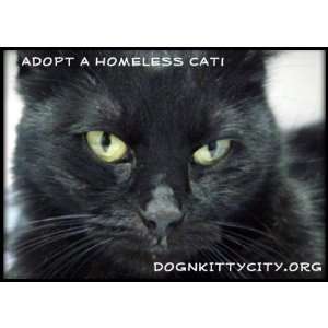  Halle   Adopt A Homeless Cat! Stamp: Office Products