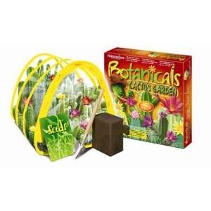    Fascinations WORLDAB3 World Alive Cactus Garden Toys & Games