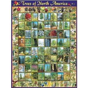  Trees of North America   1000 Piece Puzzle, 64 Species 