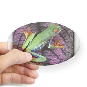   Clear (Oval) Red Eyed Tree Frog on Purple Leaf: Everything Else