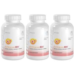  You Vitamins Echinacea 800 Immune System & Welness Support Echinacea 